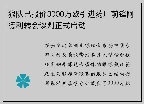 狼队已报价3000万欧引进药厂前锋阿德利转会谈判正式启动